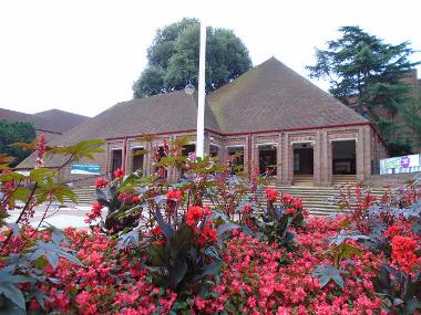 Picture of front of Civic Centre with red flowers in foreground