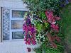Best Window Box 2022