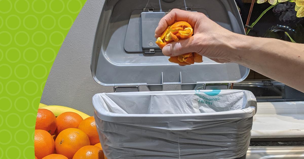 Sign up for Hillingdon's Zero Waste Challenge Hillingdon Council