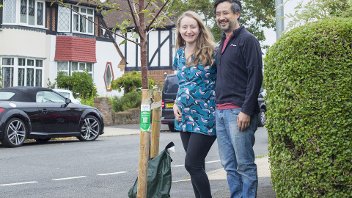 Trees for Streets