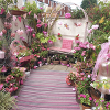 Best Novelty Garden Display 2023