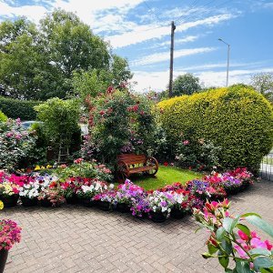 Best Park and Bloom Display 2023