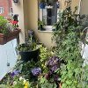 Best balcony display 2023