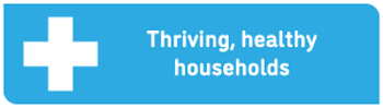 Council Strategy - Healthy households icon with text 10205