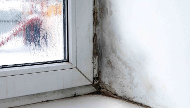 Damp and condensation on a window
