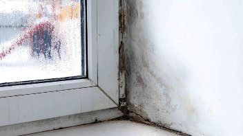 Damp and condensation on a window