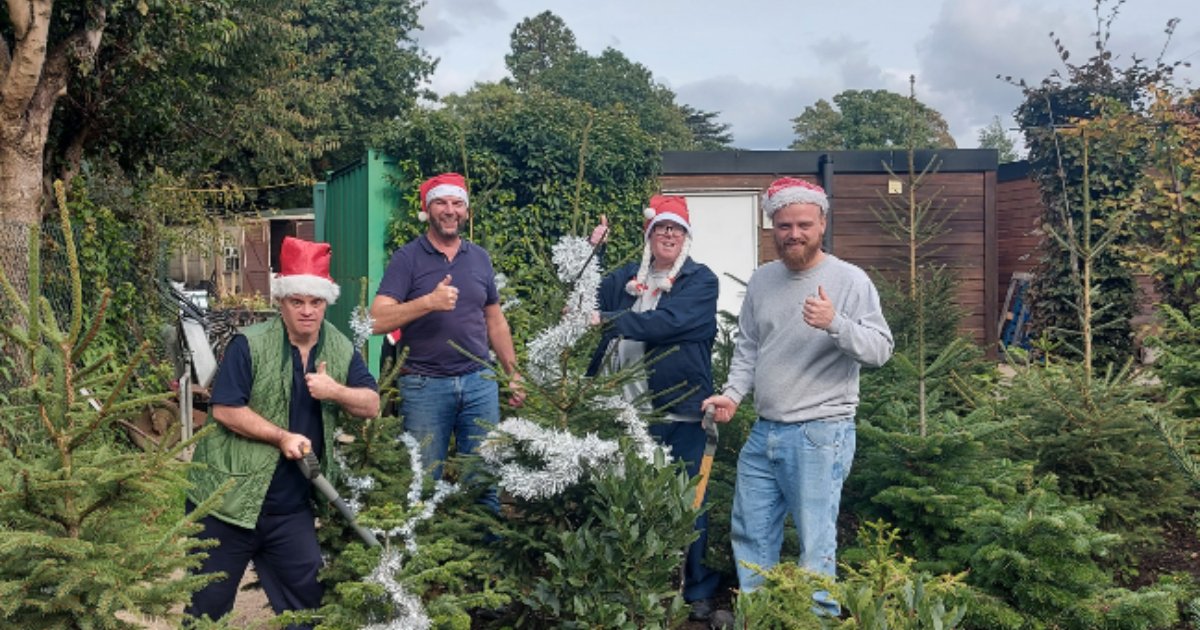 The Rural Activities Garden Centre has Christmas all wrapped up