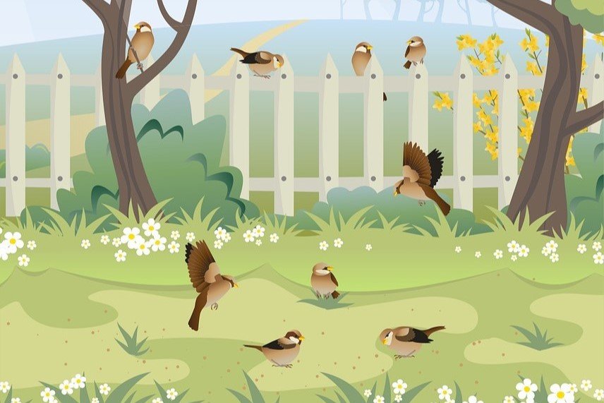 Image for Big Garden Birdwatch