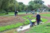 Community planting day at the flood measures in Elephant Park