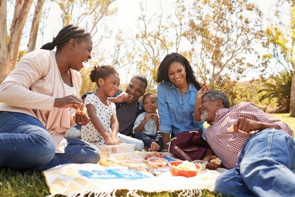 Image for The Mayor's Picnic in the Park