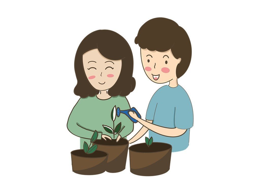 Image for Children's Gardening Week: Sow and Grow Kids