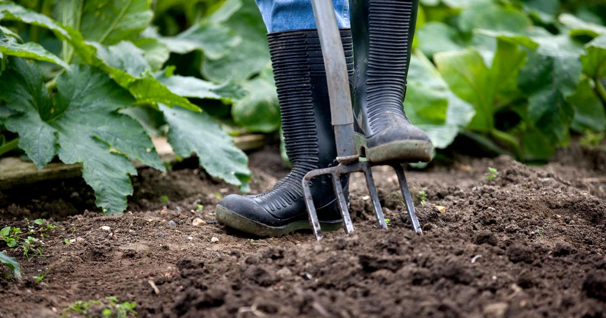 Allotments Hillingdon Council