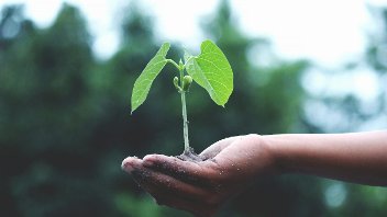 Climate change - A hand holding a plant
