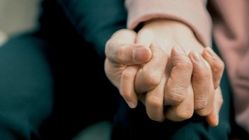 advice, partnership, support