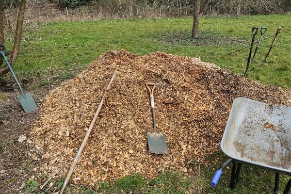 Image for Tree Pruning