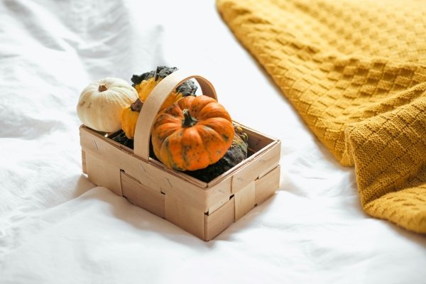 Image for Autumn Crafts