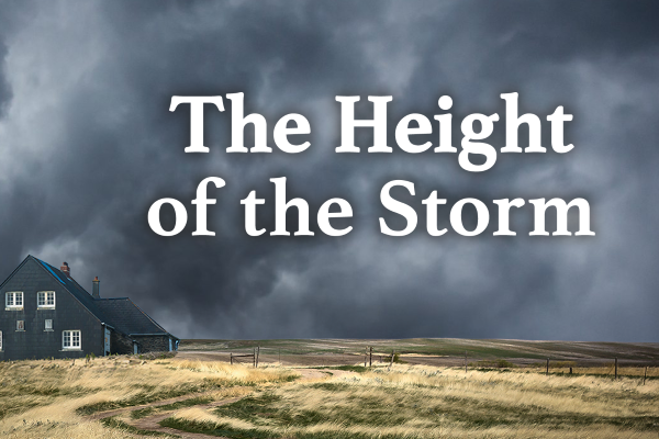 Image for The Height of the Storm