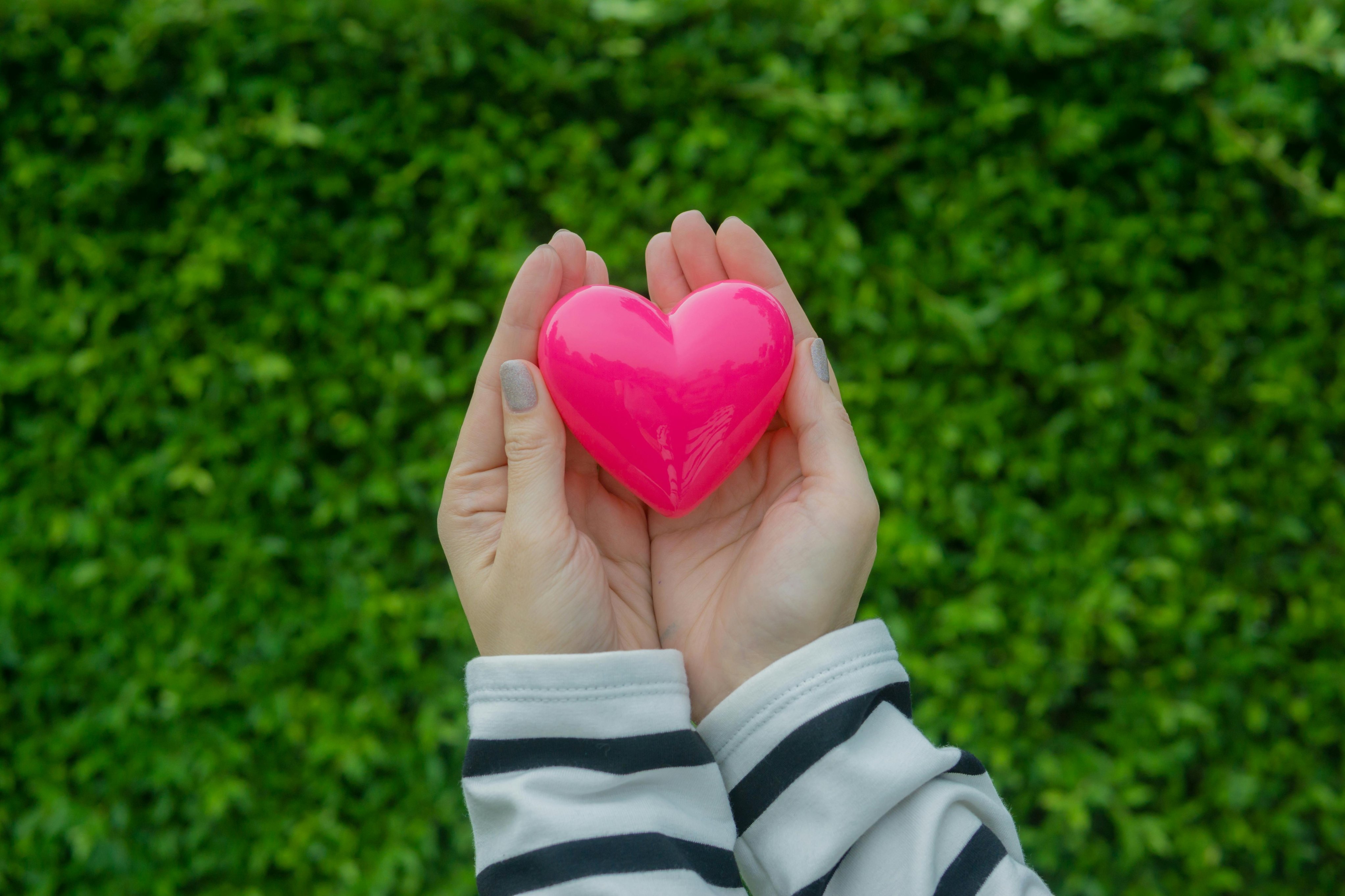 Image for Heart Month: Hypertension and Cholesterol Workshop at Harefield Library