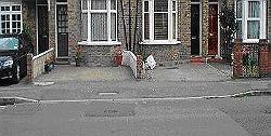 Shared dropped kerb example b