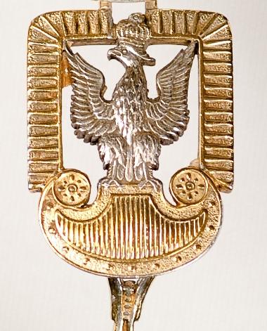 Polish Eagle badge