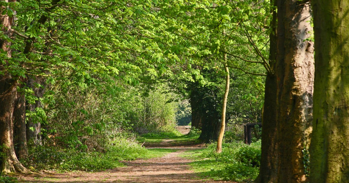 Hillingdon Trail Hillingdon Council
