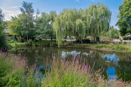 Ruislip Duck Pond, Manor Farm