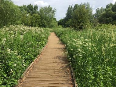 Walkway to Wise Lane