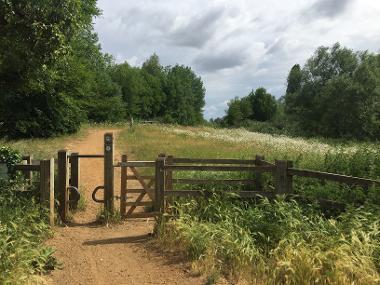 Harmondsworth Moor