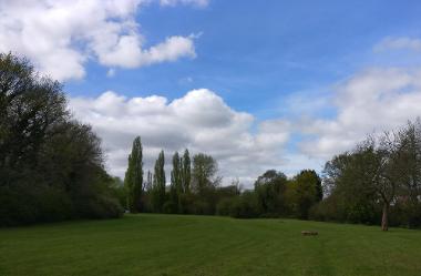 River Pinn Meadows