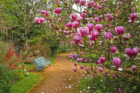 Norman Leddy Gardens, Hayes