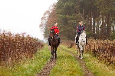 bridleway