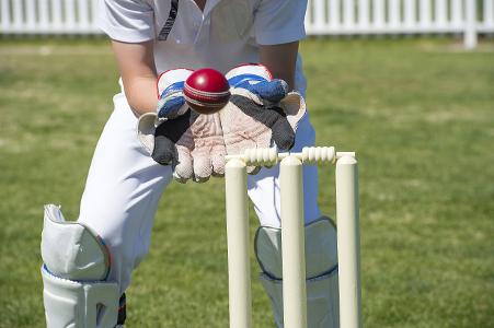Cricket