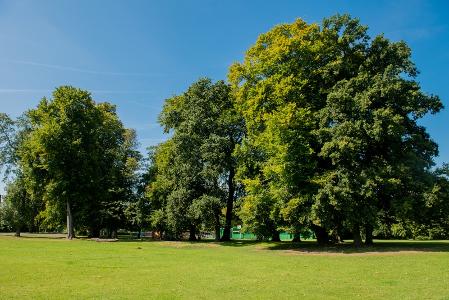 Cowley Recreation Ground