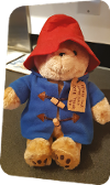 Paddington Bear