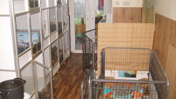 Animal cages in home of unlicensed animal business