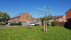 Saplings planted in Long Lane