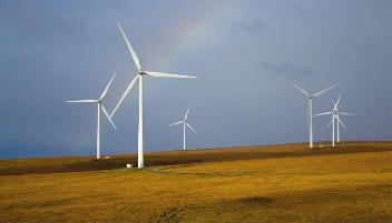 View of wind turbines on a sunny morning.