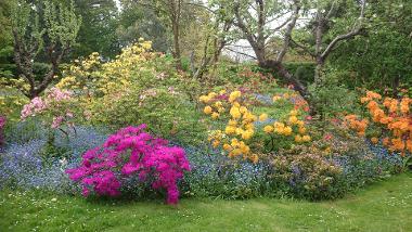 Flowers in bloom in Eastcote House Gardens