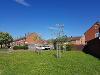 Standard trees planted on green space
