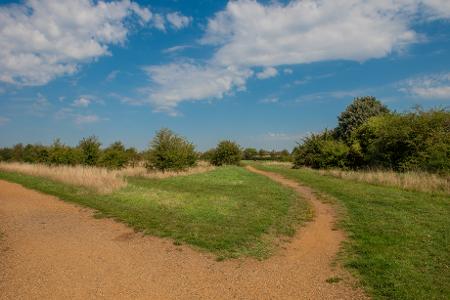 Lake Farm Country Park