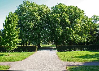 Churchfield Gardens