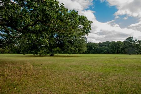 Hillingdon Court Park