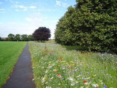 Sipson Recreation Ground