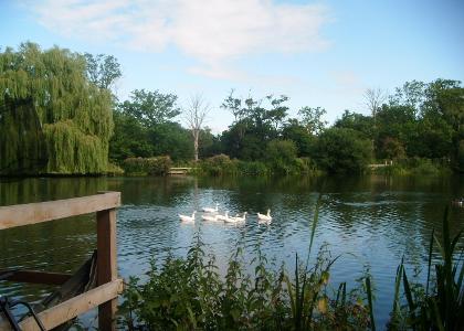 Little Britain Lake, Cowley