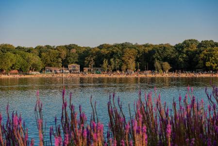 Led Walk: Ruislip Lido and Woods