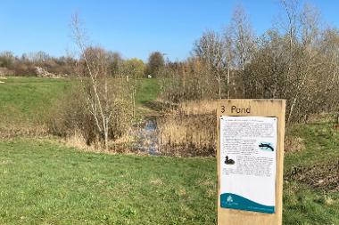 View of the pond at Hillingdon House Farm, Uxbridge