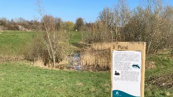 View of the pond at Hillingdon House Farm, Uxbridge