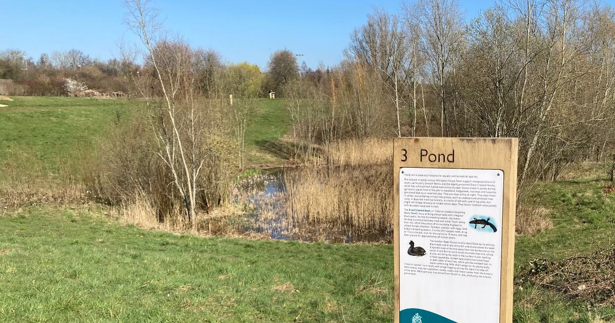 Four more Hillingdon green spaces awarded Green Flag status